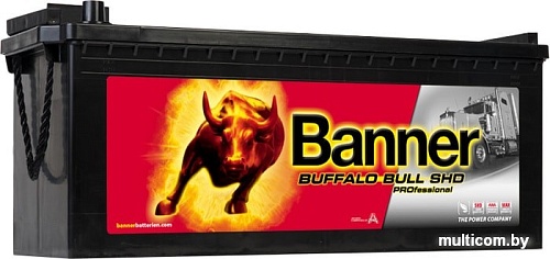 Автомобильный аккумулятор Banner Bull SHD PROfessional 725 03 (225 А&middot;ч)