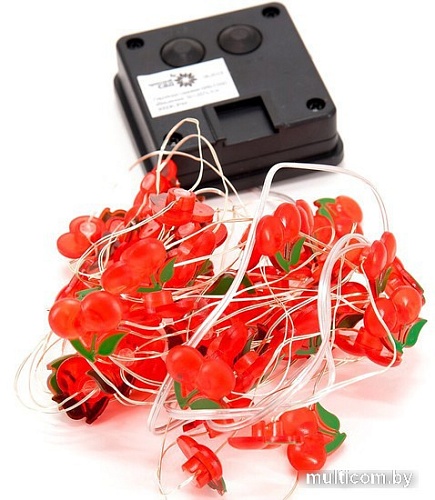 Блок питания Чудесный Сад GRG-S330 Ракушки (3м)