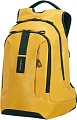 Рюкзак Samsonite Paradiver Light Backpack L+ 15.6 [01N-06003]