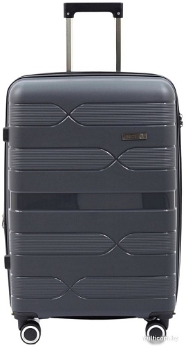 Чемодан-спиннер Pride РР-204 (M, серый)