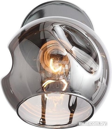 Бра Evoluce SLE155101-01