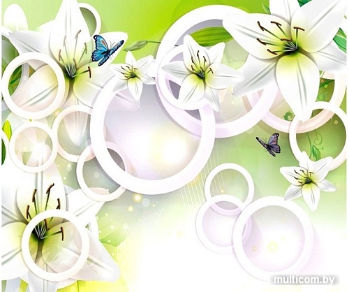 Фотообои Citydecor Круги 3D с защитным покрытием 300x254