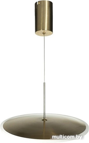 Подвесная люстра LOFT IT Ruedo 10036/300