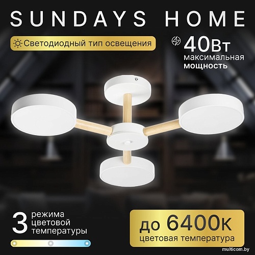 Припотолочная люстра Sundays Home 240924-22 5849