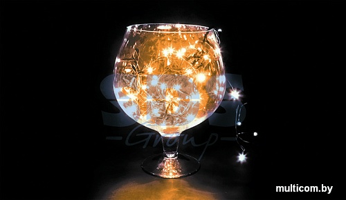 Гирлянда Neon-night Твинкл Лайт 10 м [303-151]