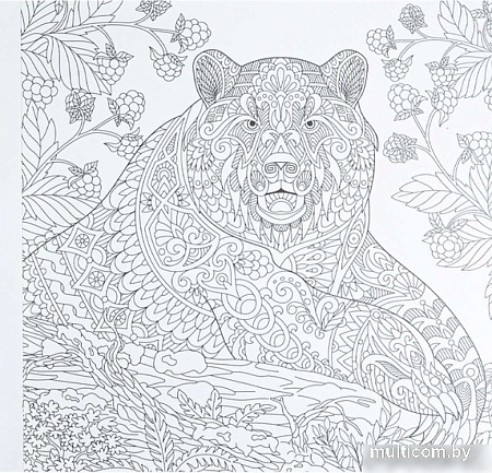 Книга издательства Проф-Пресс Раскраска-перевертыш. В животном царстве