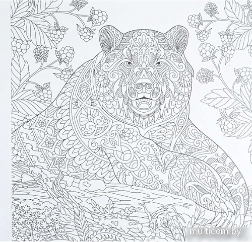 Книга издательства Проф-Пресс Раскраска-перевертыш. В животном царстве