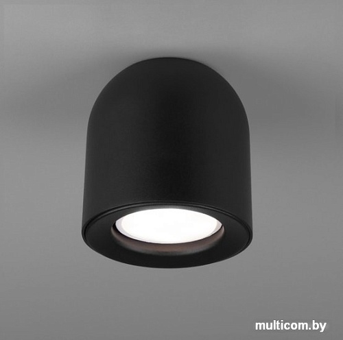 Точечный светильник Elektrostandard DLN116 GU10 (черный)