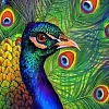 Картина по номерам ILikeGift Павлин HCEG35983