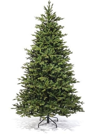 Ель Царь Елка Ева 1.55 м