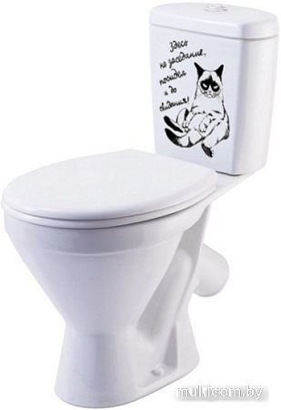 Унитаз Rosa Стандарт декор Кот на заседании