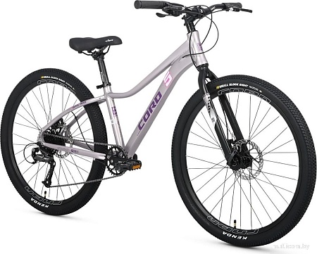 Велосипед Cord 5Bike 26 M300 2025 CRD-M5-2611-13 (цветущая сакура, разобранный)