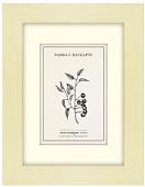 Фоторамка Палитра ПД30 10x15 (15x21)