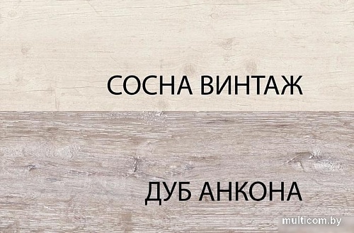 Тумба Anrex Monako RTV 1D2SN (сосна винтаж/дуб анкона)