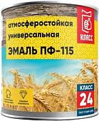 Краска Класс 24 ПФ-115 900 г (бежевый)