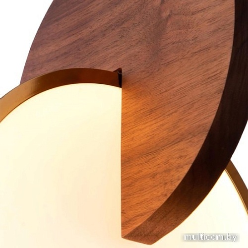 Подвесная люстра LOFT IT ECLIPSE 9970C