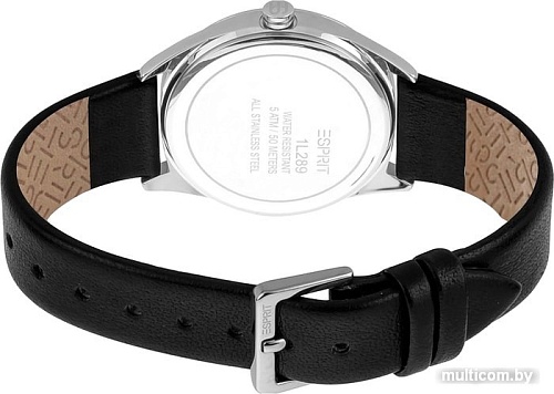 Наручные часы Esprit ES1L289L0015