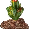 Искусственное растение Laguna Эриокактус 84044001