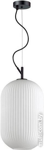 Подвесная люстра Odeon Light Roofi 4752/1