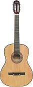 Акустическая гитара Terris TC-3901A NA