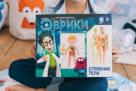 Эврики Строение тела 2772939