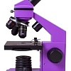Levenhuk Rainbow 2L Plus (аметист) 69042