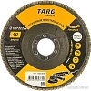 Шлифовальный круг Targ 663404
