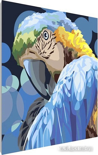 Картина по номерам PaintLine Попугай 2037283452163