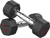 Набор гантелей Proiron Г2030ОБР (2 шт)