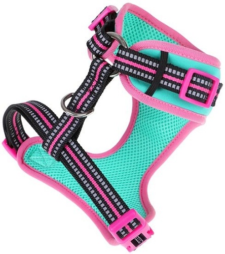 Шлея Doog Neoflex Rin Tin Tin HARTIN-M (бирюзовый с розовым кантом)
