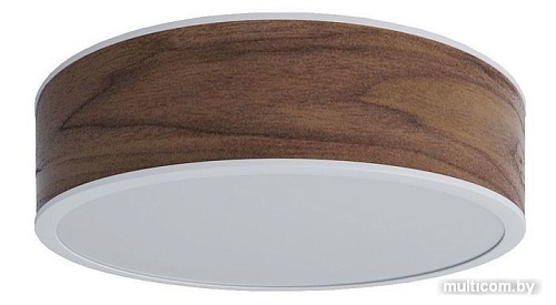 Припотолочная люстра Woodled Galactic Jupiter Chandelier M U-02-01-M