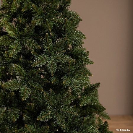 Ель Ёлушка Невская ЕНЕВ 11 (1.1м)