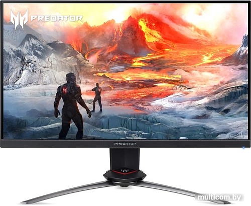 Монитор Acer Predator XB253QGXbmiiprzx
