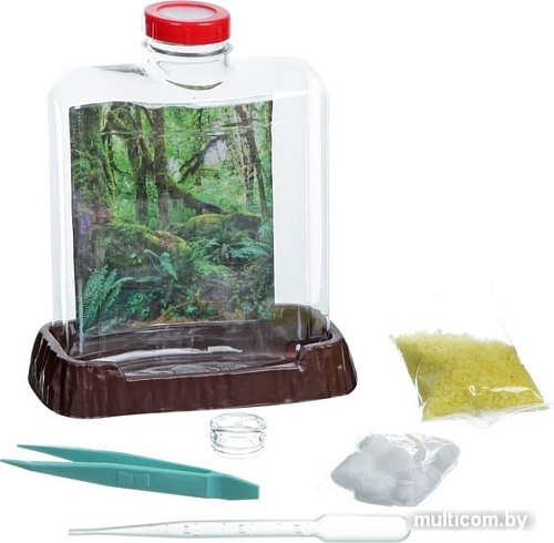 Набор для опытов Bondibon Науки с Буки Город муравьев ВВ1549