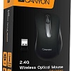 Мышь Canyon CNE-CMSW2