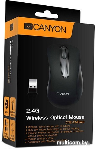 Мышь Canyon CNE-CMSW2