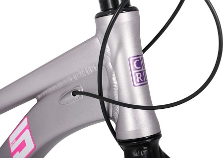 Велосипед Cord 5Bike 26 M300 2025 CRD-M5-2611-13 (цветущая сакура, разобранный)