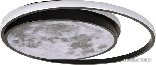 Припотолочная люстра LOFT IT Luna 10217