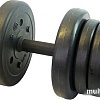 Гантели Lite Weights 3103CD 10 кг