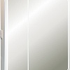 Silver Mirrors Шкаф с зеркалом Alliance 805x800 LED-00002516