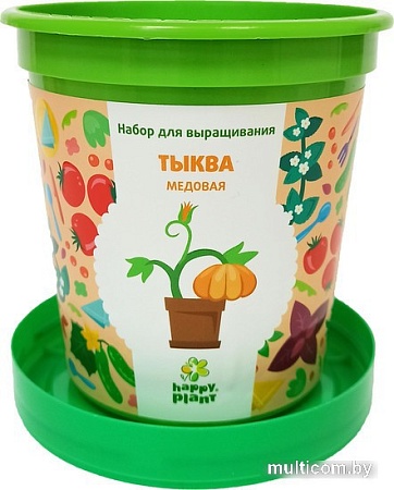 Набор для опытов Happy plant Тыква медовая hpn-34