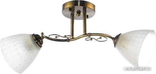 Люстра средней высоты Aitin Pro N4625/2