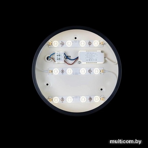 Люстра-тарелка LOFT IT Axel 10002/12 Black