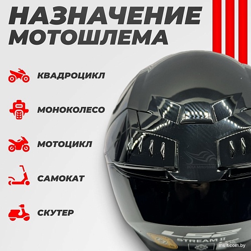 LS2 FF808 Stream II (XL, черный)