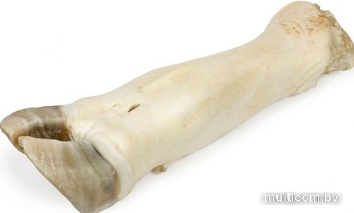 Лакомство для собак TiTBiT Нога говяжья большая (мягкая упаковка)