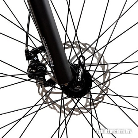 Электровелосипед Hoverbot CB-4 X-Ride (2018)