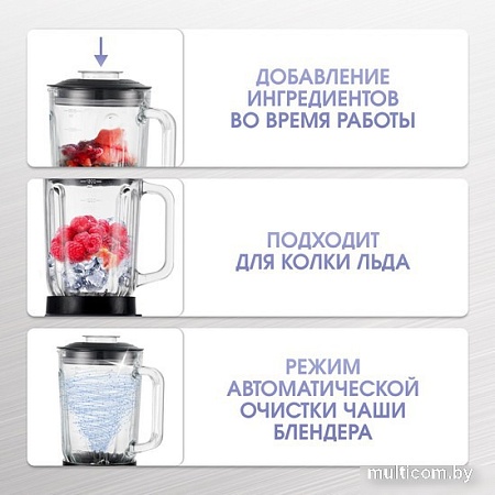 Стационарный блендер Zigmund & Shtain BS-446 D