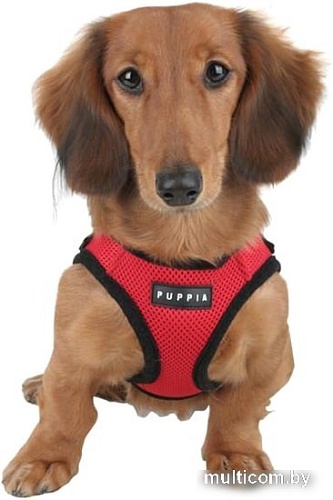 Шлейка-жилетка Puppia Soft Vest PAHA-AH305-RD-S (красный)