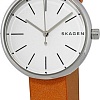 Наручные часы Skagen SKW2594
