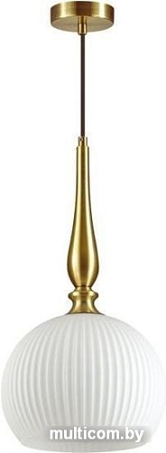 Подвесная люстра Odeon Light Runga 4766/1